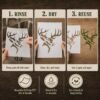 Buck Deer Stencil 8