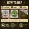 Family Tree Stencil 4